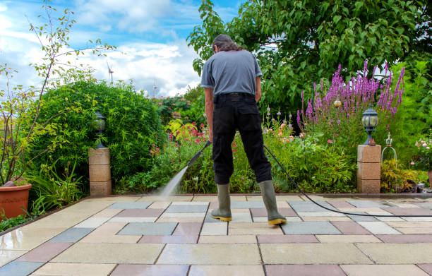 Best Sidewalk and Walkway Pressure Cleaning in Colfax, WI